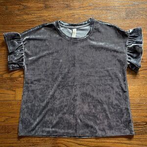 Altar’d State Silver Velour Short Ruffle Sleeve Top